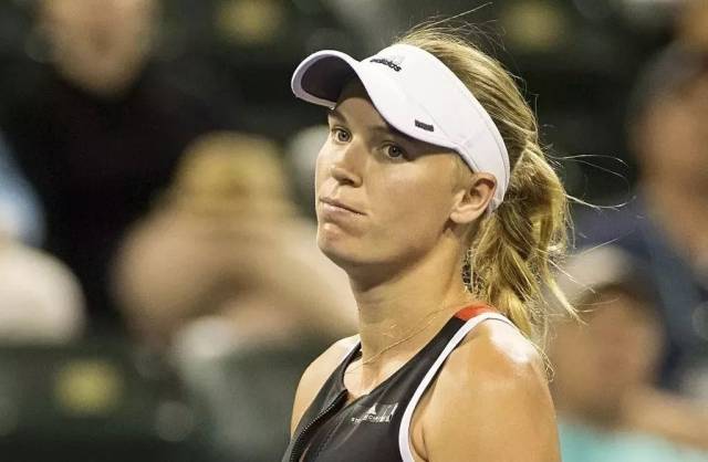 志和优异的 志和优异的