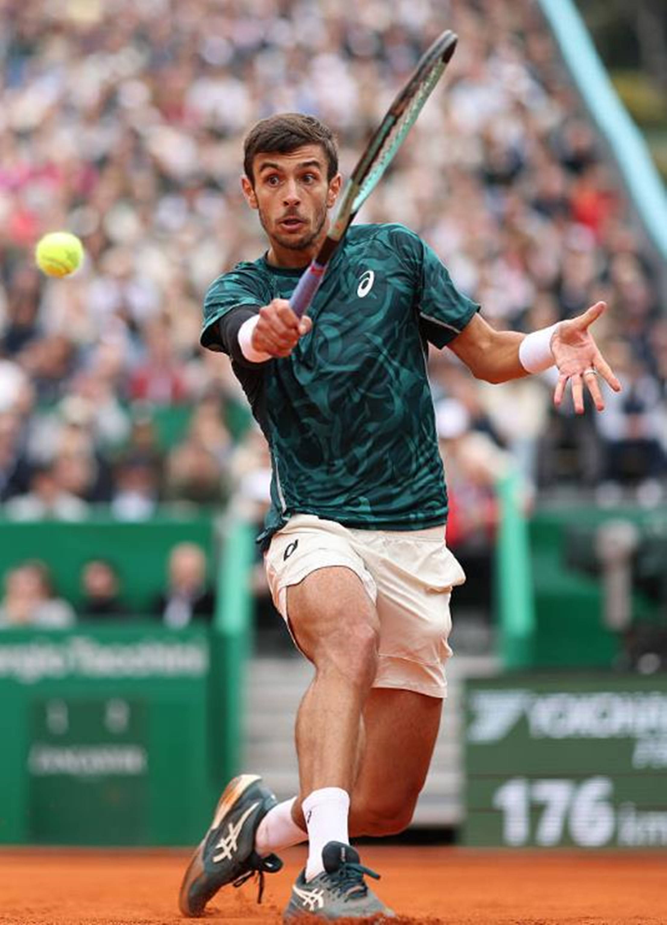 的质量与落 的质量与落